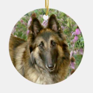 Belgier Tervuren Freidnship Verzierung Keramik Ornament