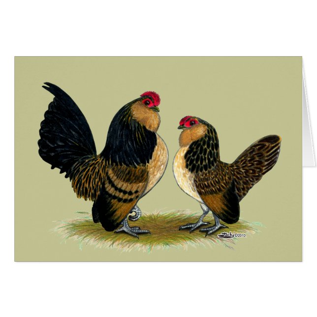 Belgisch d'Anvers Bantams: Quail (Vorderseite (Horizontal))