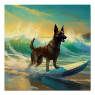 Belgisch Malinoi Beach Surfmalerei Poster