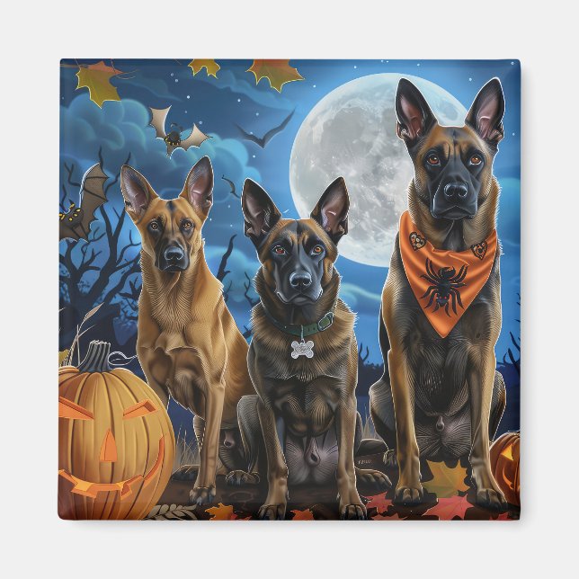 Belgisch Malinoi Halloween Spooky Magnet (Vorne)