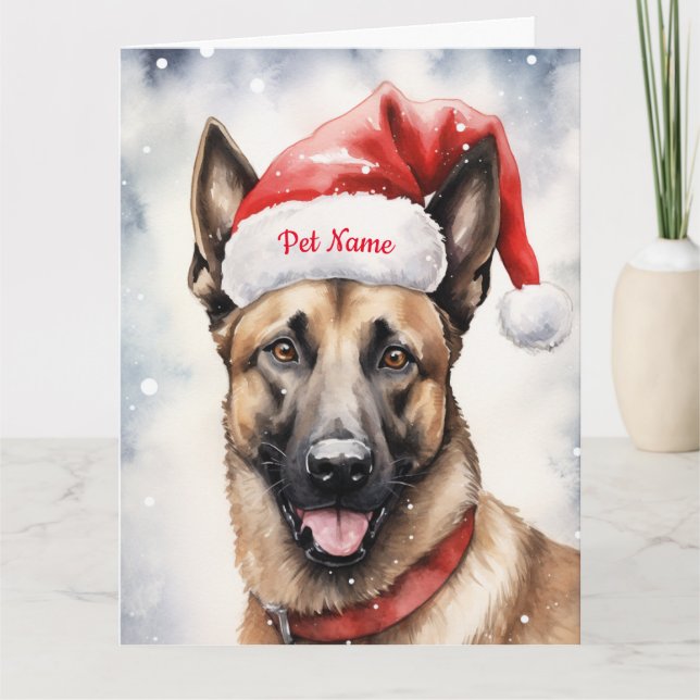 Belgisch Malinoi Weihnachten Personalisiert Karte (Vorderseite)