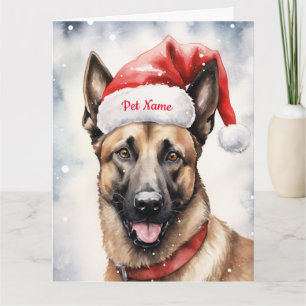 Belgisch Malinoi Weihnachten Personalisiert Karte
