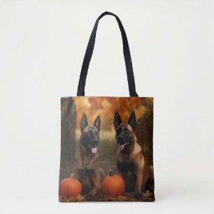 Belgisch Malinoi Welpe Autumn Delight Pumpkin