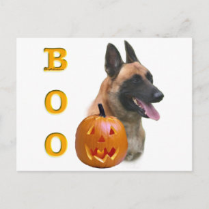 Belgisch Malinois Boo Postkarte