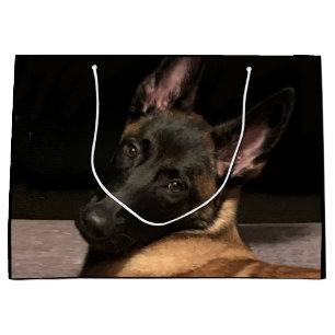 Belgisch Malinois Dog Große Geschenktüte