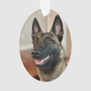 Belgisch Malinois Dog Ornament