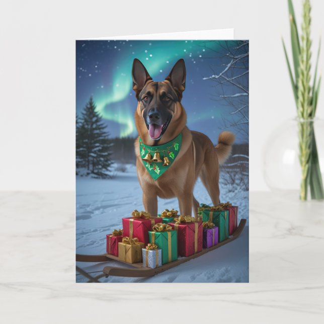 Belgisch Malinois Dog Weihnachtsgrußkarte Karte (Vorderseite)