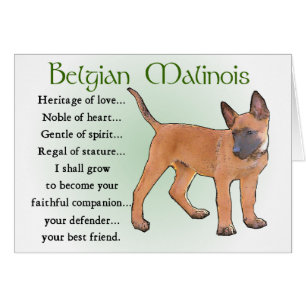 Belgisch Malinois Geschenke