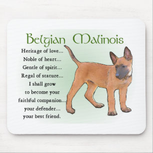 Belgisch Malinois Geschenke Mousepad