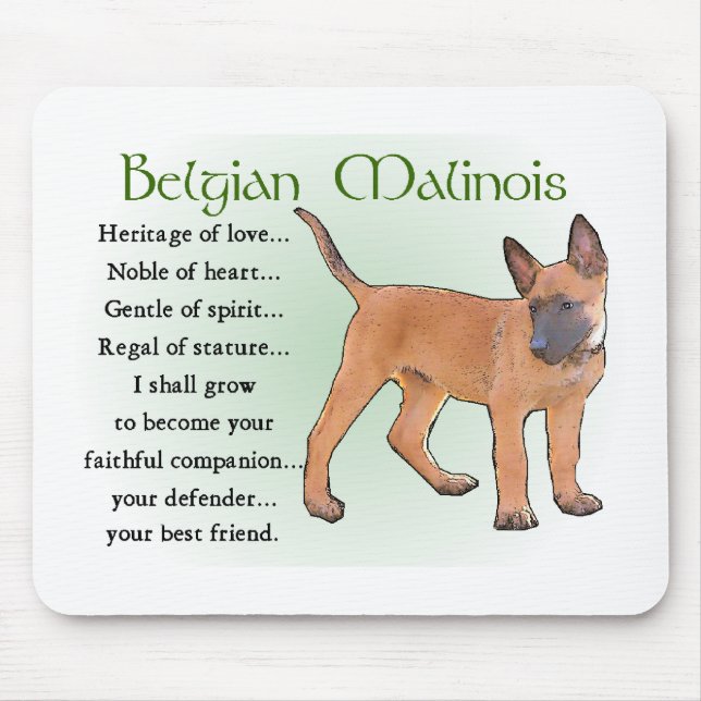 Belgisch Malinois Geschenke Mousepad (Vorne)