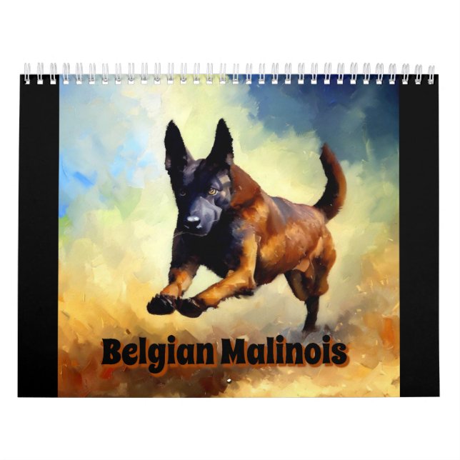 Belgisch Malinois Kalender (Titelbild)
