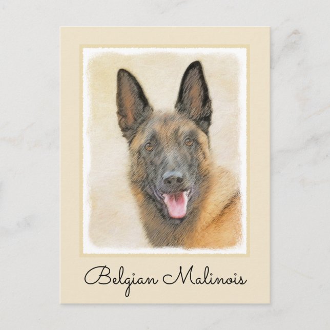 Belgisch Malinois Malerei - Niedliche Original Hun Postkarte (Vorderseite)