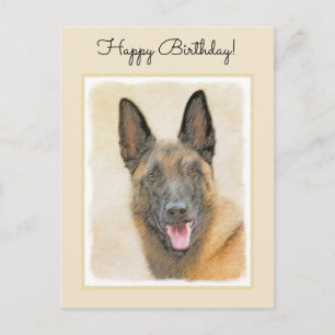 Belgisch Malinois Malerei - Niedliche Original Hun Postkarte