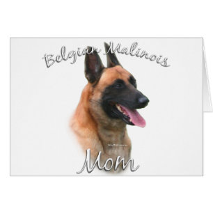 Belgisch Malinois Mama 2