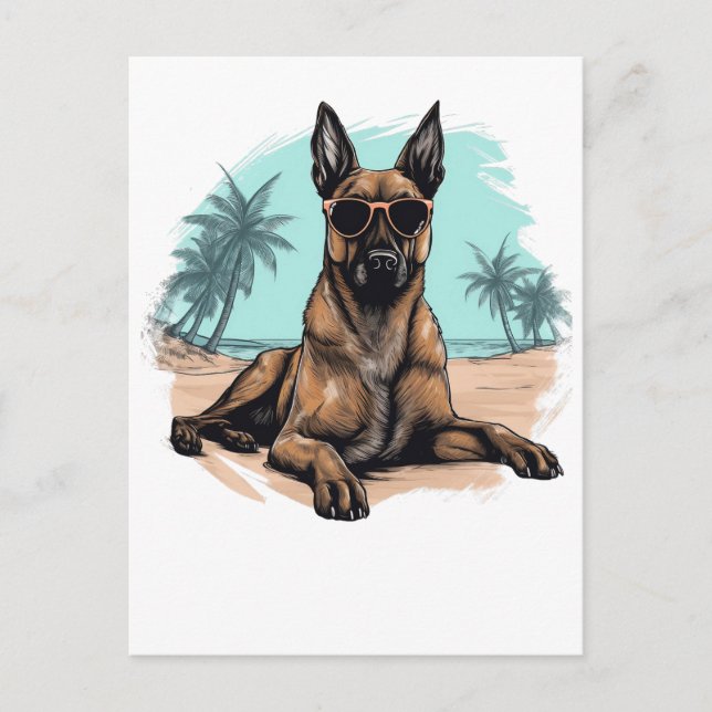 Belgisch-malinois mit Sonnenbrille am Strand Postkarte (Vorderseite)