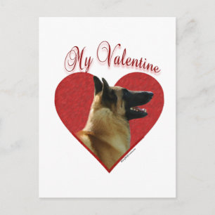 Belgisch Malinois My Valentine Feiertagspostkarte