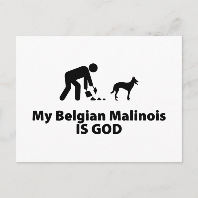 Belgisch Malinois Postkarte (Vorderseite)