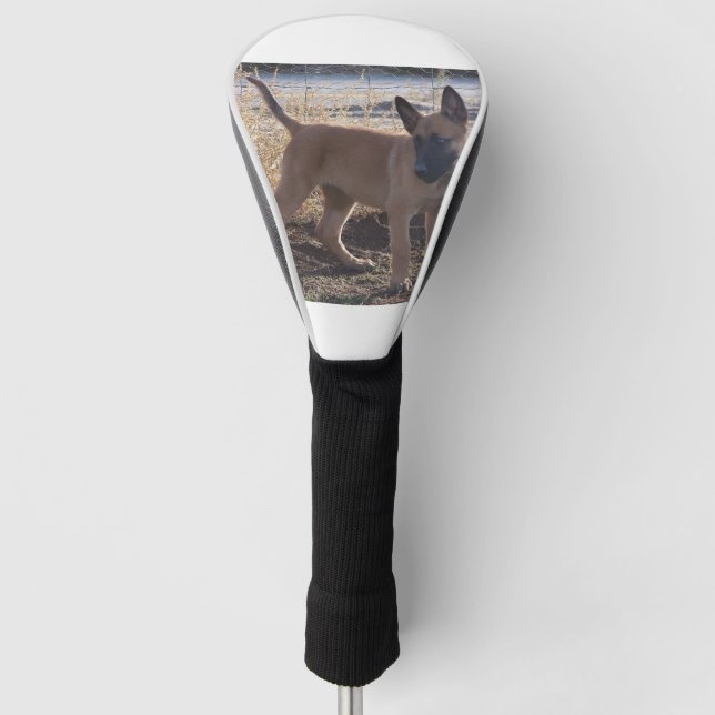 Belgisch_Malinois_Puppy vollständig Golf Headcover (Vorderseite)