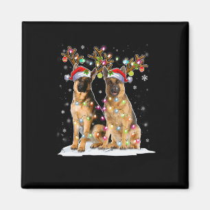 Belgisch Malinois Reindeer Hat Santa Christmas Lig Magnet