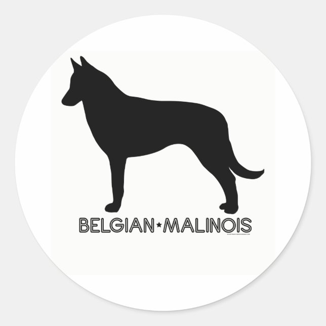 Belgisch Malinois Sticker (Vorderseite)