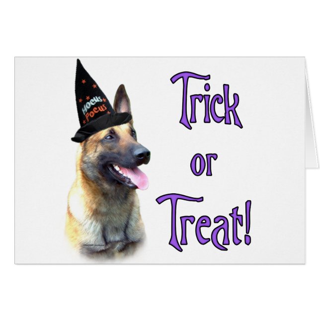 Belgisch Malinois Trick (Vorderseite (Horizontal))