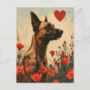 Belgisch Malinois Vintag Valentinstag Postkarte
