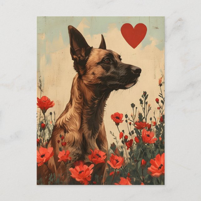 Belgisch Malinois Vintag Valentinstag Postkarte (Vorderseite)