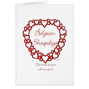 Belgisch Sheepdog True Love