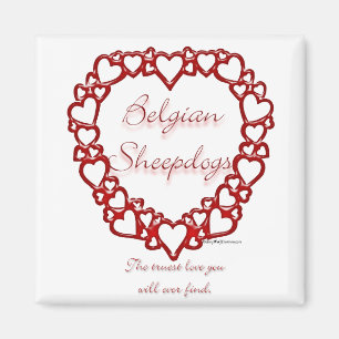 Belgisch Sheepdog True Love Magnet