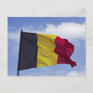 Belgische Flagge RF) Postkarte