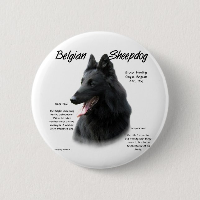 Belgische Geschichte der Schafhunde Button (Vorderseite)