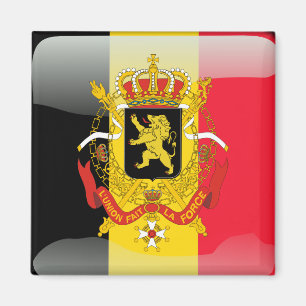 Belgische glatte Flagge Magnet