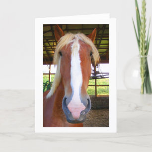 Belgische Gruß-Karten Karte