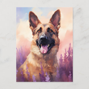 Belgische Malinois auf dem Lavendelmarkt Postkarte