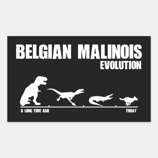 Belgische Malinois-Evolution Rechteckiger Aufkleber (Vorderseite)