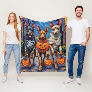 Belgische Malinois-Hunde beim Trick-or-Treat an Ha Fleecedecke
