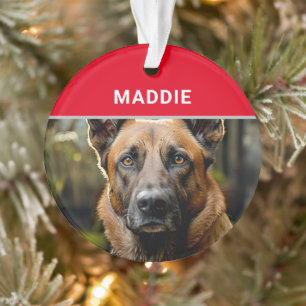 Belgische Malinois Hunde Name und Foto Weihnachten Ornament