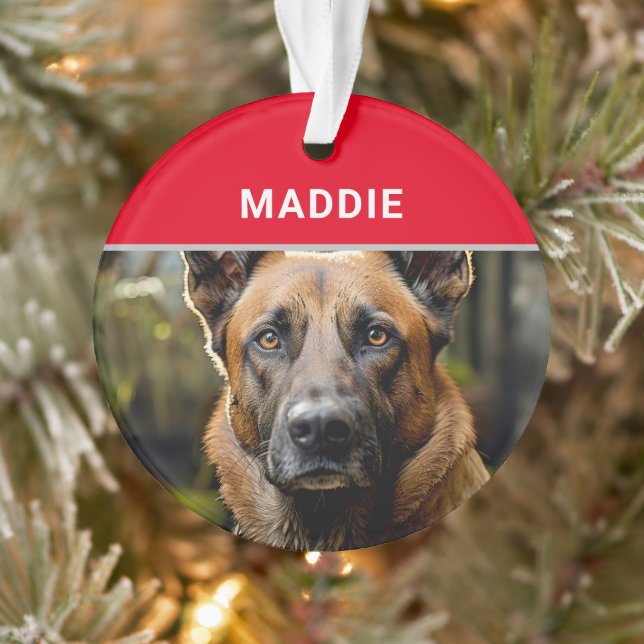 Belgische Malinois Hunde Name und Foto Weihnachten Ornament (Baum)