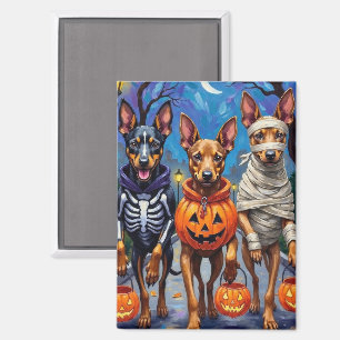 Belgische Malinois Hunde Trick-or-Treating Hallowe Magnet