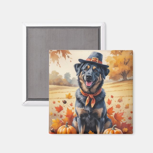 Belgische Malinois im Herbst hinterlässt Erntedank Magnet (Vorderseite/Rückseite)