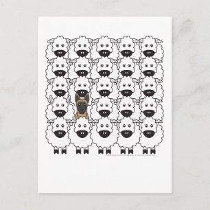 Belgische Malinois im Schaf Postkarte