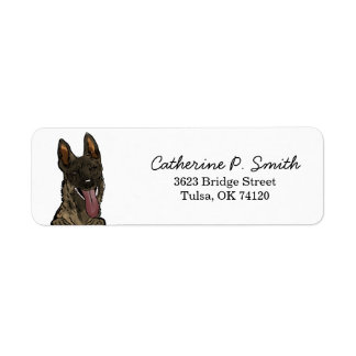 Belgische Malinois-Rücksendeadresse
