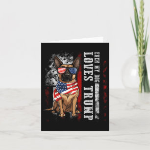 Belgische Malinois sogar meine Hunde Lieben Trump Karte