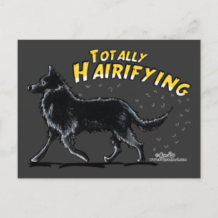 Belgische Schafhund total hairigend Postkarte