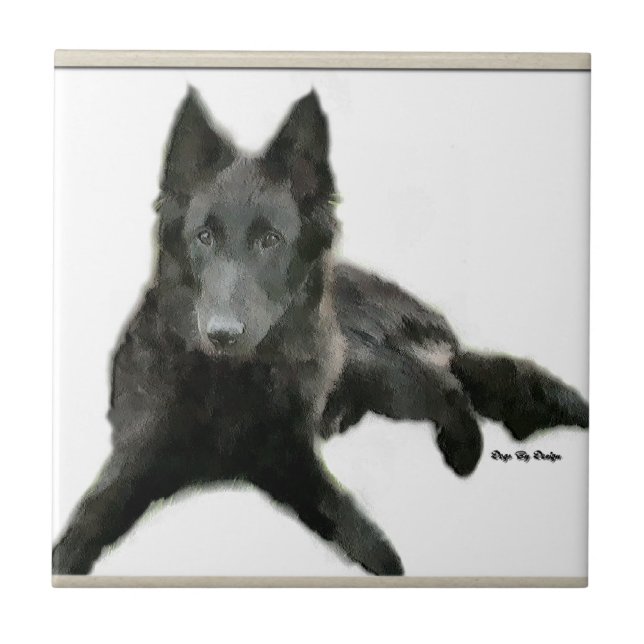 Belgische Sheepdog Art Fliese (Vorderseite)