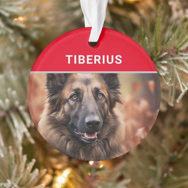 Belgische Tervuren Dog's Name und Foto Weihnachten Ornament