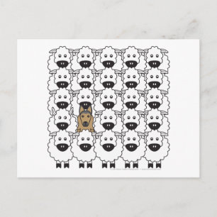 Belgische Tervuren im Schaf Postkarte
