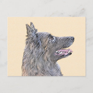 Belgische Tervuren Malerei - Niedliche Original Hu Postkarte