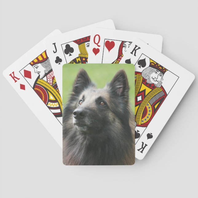Belgische Tervuren Spielkarten (Rückseite)