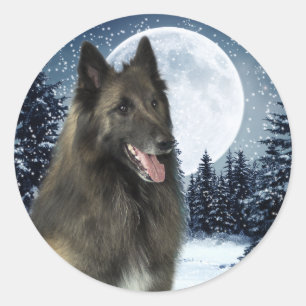 Belgische Tervuren Sticker